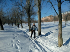 В Камышине на лыжне среди самых юных победили Влад Земсков и Ира Бурлакова, среди взрослых ребят - Алексей Тарабрин и Татьяна Выпрецкая