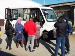 Облздрав объяснился по поводу вакцинации в автобусе на рынке в Камышине