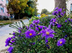 В Камышине к завтрашнему четвергу похолодает сразу на 10 градусов