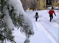 Когда в Камышин вернется зима?