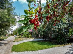 В двадцати домах отключат свет сегодня, 14 августа, камышинские коммунальщики