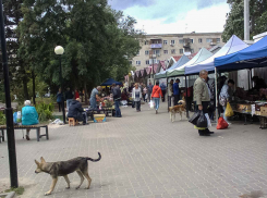 В Камышине 15 сентября не подтвердилось ни одного диагноза коронавируса