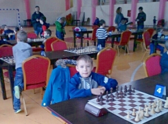 Шахматный талант из Камышина Никита Карулин, которого местные предприниматели  отправили на первенство ЮФО, вошел в ТОП-10 победителей соревнований