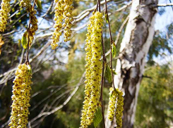 Камышанам придется запастись терпением, чтобы дождаться настоящего тепла после дождей