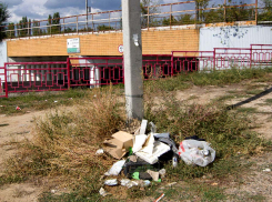 Представьте, вы первый раз приехали в Камышин - и что вы видите? - камышанка