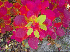 Зажмурьтесь от удовольствия: лето в Камышине продолжается