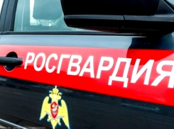 В Камышине росгвардейцы «притормозили» удальца, укравшего бытовую технику в одной из квартир
