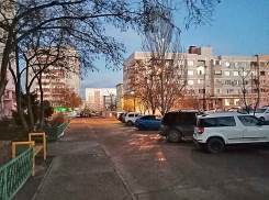 В Камышине наступает почти весенний понедельник - перед приходом морозов