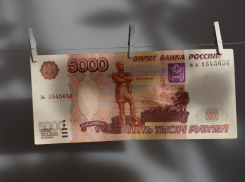 В финале истории с КПК, очень похожей на камышинскую, в отношении первого лица кооператива возбуждено уголовное дело