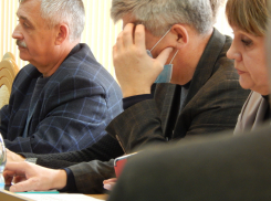 Камышинская городская дума перестала заседать из-за коронавируса