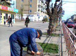В Камышине вовремя решили починить самые востребованные скамьи в центре города, на улице Ленина