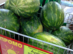 День Арбуза в Камышине отметили снижением цен на полосатый десерт