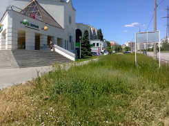 Волгоградский политолог предсказал принудительную продажу облигаций и акций населению, - «Блокнот Волгограда»