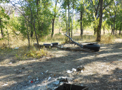 Разгонит кто-нибудь пьяниц от парка Текстильщиков, с их ржавой «мангальной поляны»? - камышанка