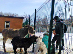 Синоптики обещают камышанам устойчивый «плюс» в воскресенье и всю неделю