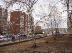 В Камышине северо-западный ветер «надует» ночные заморозки 13 марта