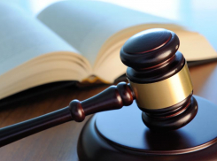 Школьника из Петрова Вала, укравшего у деда ружье на продажу, будут судить