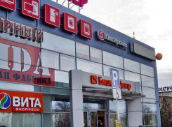 «Ноу-хау» по-камышински: рекламу обезьян стали лепить на дорожные знаки