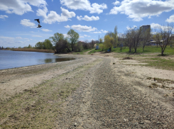 Почему в Камышинке заметно упал уровень воды 