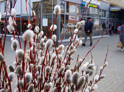 «Перемен требуют наши сердца»: гороскоп для жителей Волгоградской области на предстоящую неделю