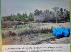 Недавно избранная глава Камышинского муниципального района Елена Береговая показала себя в телеграм-канале хорошей информационщицей