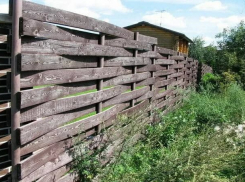 Дровосек из Камышинского района может угодить под суд из-за намерений огородиться забором из срубленных деревьев 