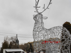 Морозы с жестким ветром возвращаются в Камышин