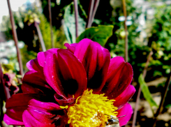 В Камышине на выходные установится погода из категории «лучше не бывает!»