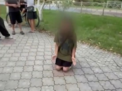 Школьный беспредел со стоящей на коленях девочкой проверит прокуратура, - «Блокнот Волгограда» (ВИДЕО)