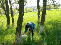 Камышинские водолазы ищут тело девочки, утонувшей в пруду под Рудней