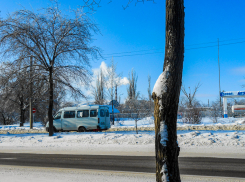 В Камышине утратили силу постановления Станислава Зинченко о «прикреплении» детей к школам и детсадам и о бесплатном проезде для школьников