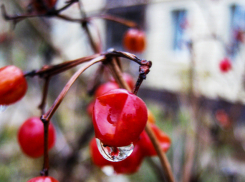 «Дождинки» и «снежинки» появились в прогнозе для Камышина на ближайшие дни