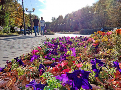В Камышине в парке пожухшая листва заметает и портит еще свежие клумбы, - камышанка