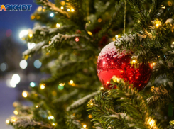 В Краснодарском крае отменили новогодние фейерверки, последует ли примеру Волгоградская область?