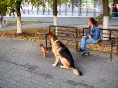По поводу странностей квадроберов высказались даже в Кремле