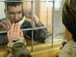 В камышинских колониях запретили свидания из-за COVID-19