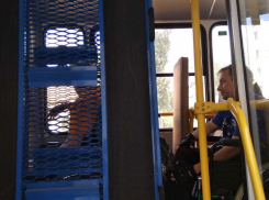 Чем закончилась «забастовка» камышинских инвалидов в автобусе 12-го маршрута