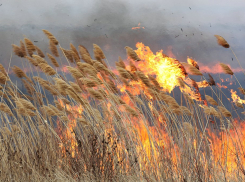 Губернатор Андрей Бочаров подписал постановление о запрете костров и выездов в лес