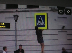 В Камышине полиция решила поближе познакомиться со школьницей, устроившей «шоу» с дорожным знаком (ВИДЕО)