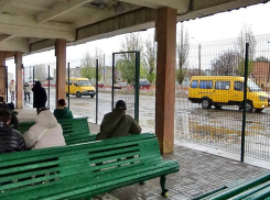 В Камышине надеются выпустить в рейс первый за сегодня, 14 декабря, автобус на Саратов
