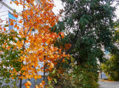 В Волгограде согрелись батареи в двух третях МКД, а в Камышине, который куда севернее, информации о начале отопления нет вовсе