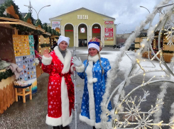 В Камышине с неба посыпались ледяные шарики