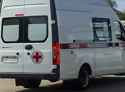 В Волгоградской области в Заволжье спасали девочку, которую укусила гадюка