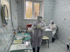 В Камышине в горбольнице №1 медики тренировались, как выявлять больных с особо опасными инфекциями