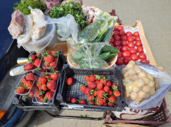 На рынках Камышина продают тепличную краснодарскую клубнику