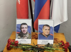 В Камышине родным бойцов, погибших в СВО, передали ордена Мужества