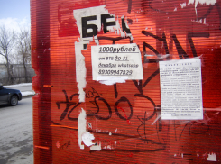 В Камышине на загаженных остановках приспособились расклеивать объявления не только частники, но и государственные учреждения? - камышанка