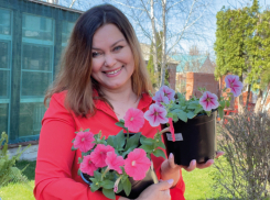 Выдаем секрет: как вырастить плантацию цветов из одной семечки 