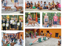 Оригинальные услуги предлагает камышанам и их четвероногим питомцам студия «Любимчик»