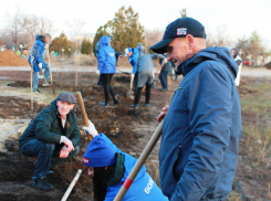 «Вы на мгновение закрыли кровоточащую рану тоски и скорби»: в Камышине на участке воинских захоронений высадили аллею в память о бойцах, павших в СВО